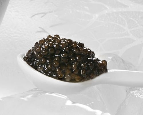 Cuillère en nacre pour caviar - Caviar Perle Noire